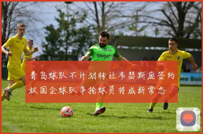 青岛球队不计划转让韦瑟斯庞签约权国企球队争抢球员将成新常态